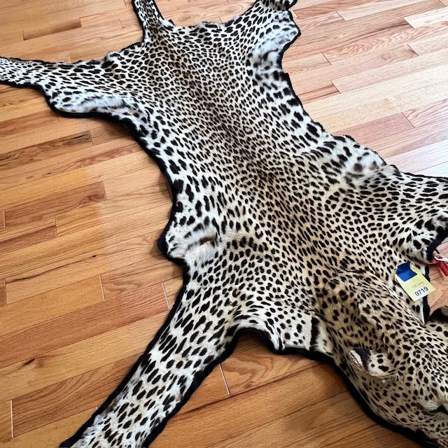 Sensational Online Auction, August 31 – September 7